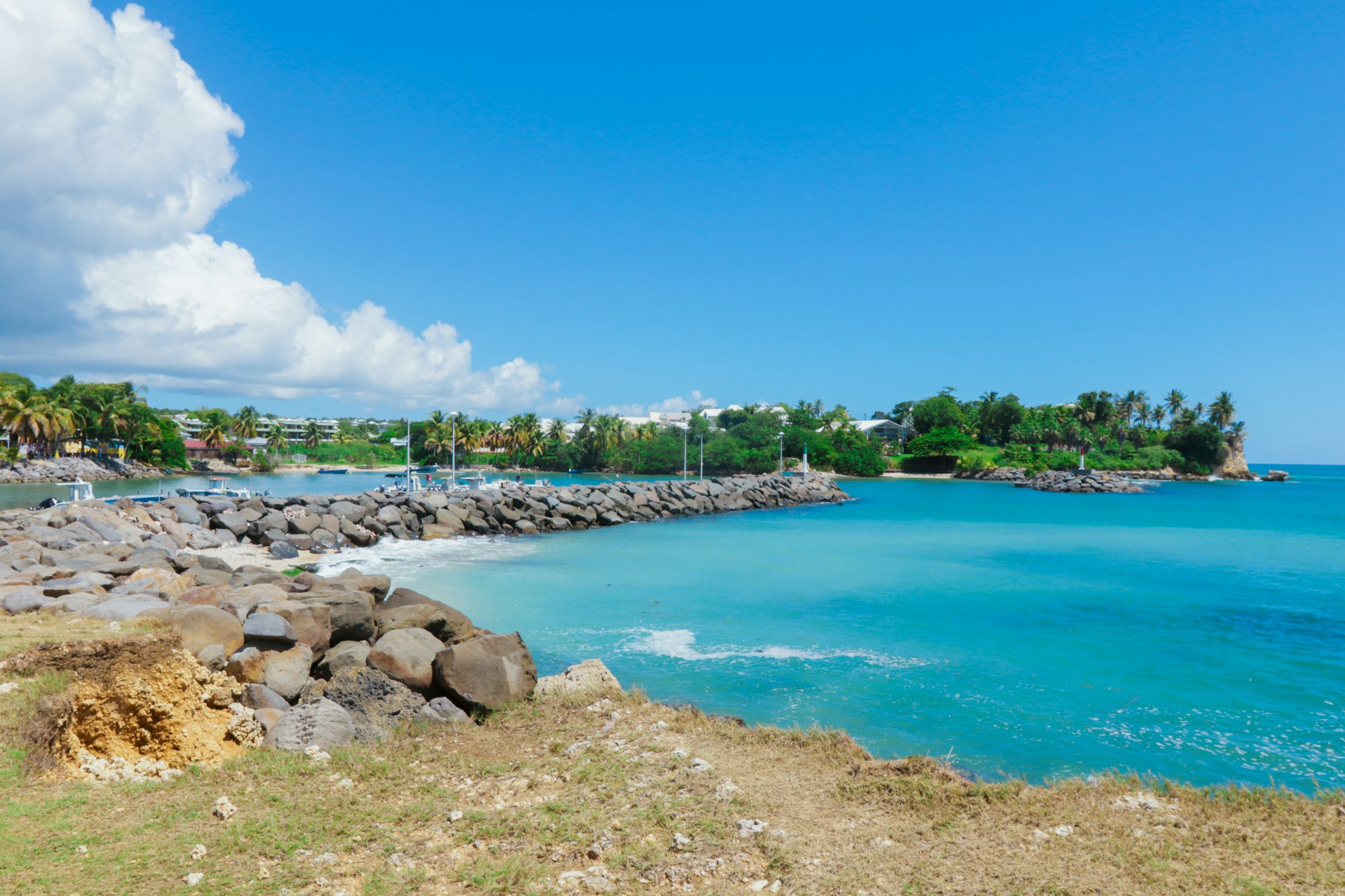 Conseils de voyage en Guadeloupe : connaissez-vous les moyens de déplacement sur l’île ?